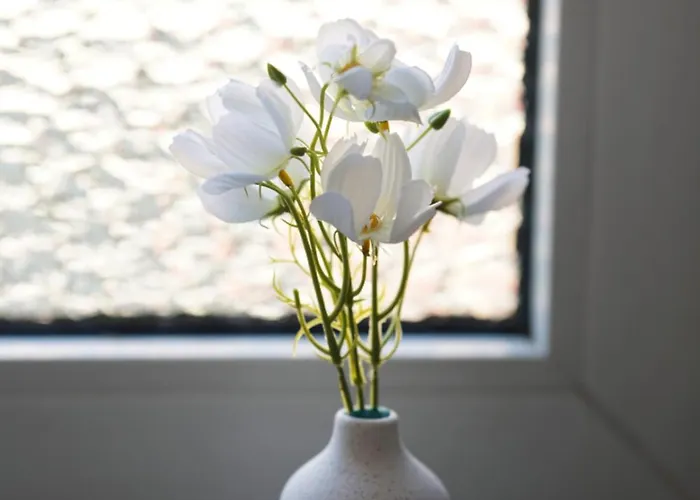 3br - - Kitchen - 10 Min To Ice アパート ジークブルク